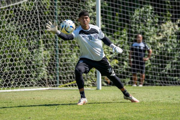 AI in sports training