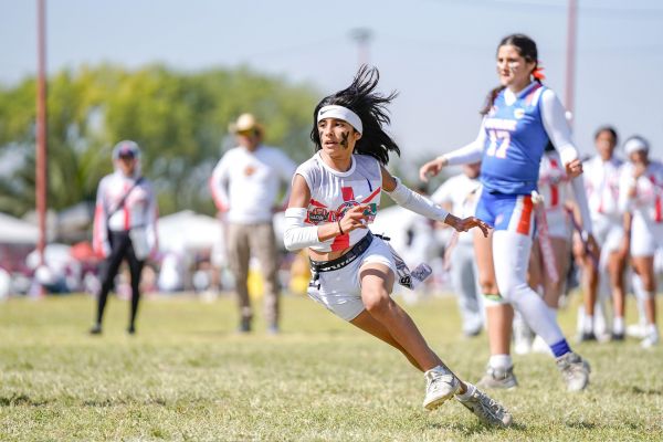 visualization scripts for athletes