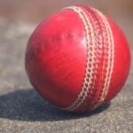 how does cricket work