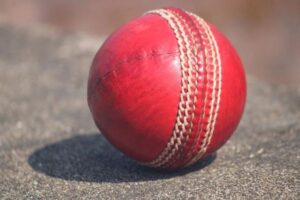 how does cricket work