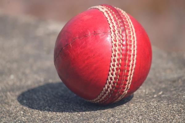 how does cricket work