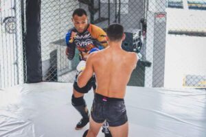 mma fighting styles